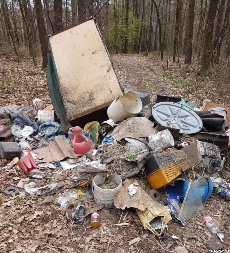 Złamali przepisy o zakazie przemieszczania się, a na domiar złego śmieci zostały porzucone w lesie / Policja Wodzisław