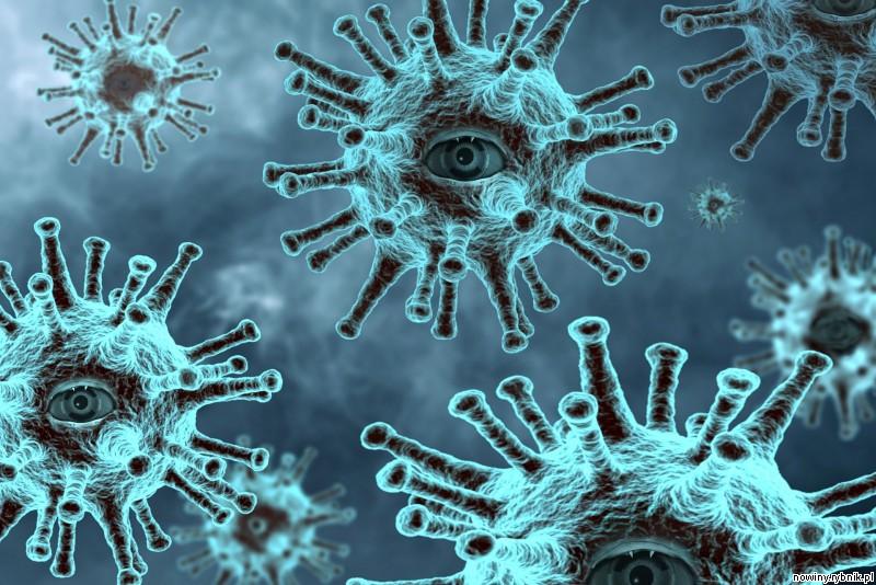 Liczba zakażonych koronawirusem wzrosła do 40 tys. 782, zmarło 1 636 osób. / Pixabay