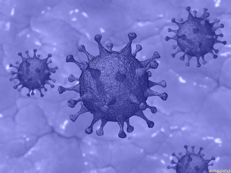 Rośnie niestety ilość potwierdzonych przypadków wirusa Sars CoV-2 / Pixabay