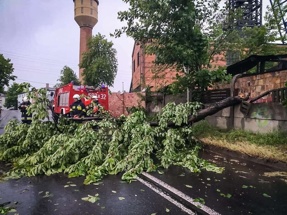 OSP Niewiadom Facebook Cięcie drzewa, które runęło na drogę 