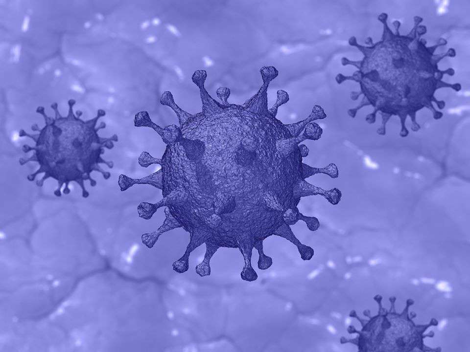 Pixabay Naukowcy zidentyfikowali cząsteczki, które silnie hamują replikację wirusa 
