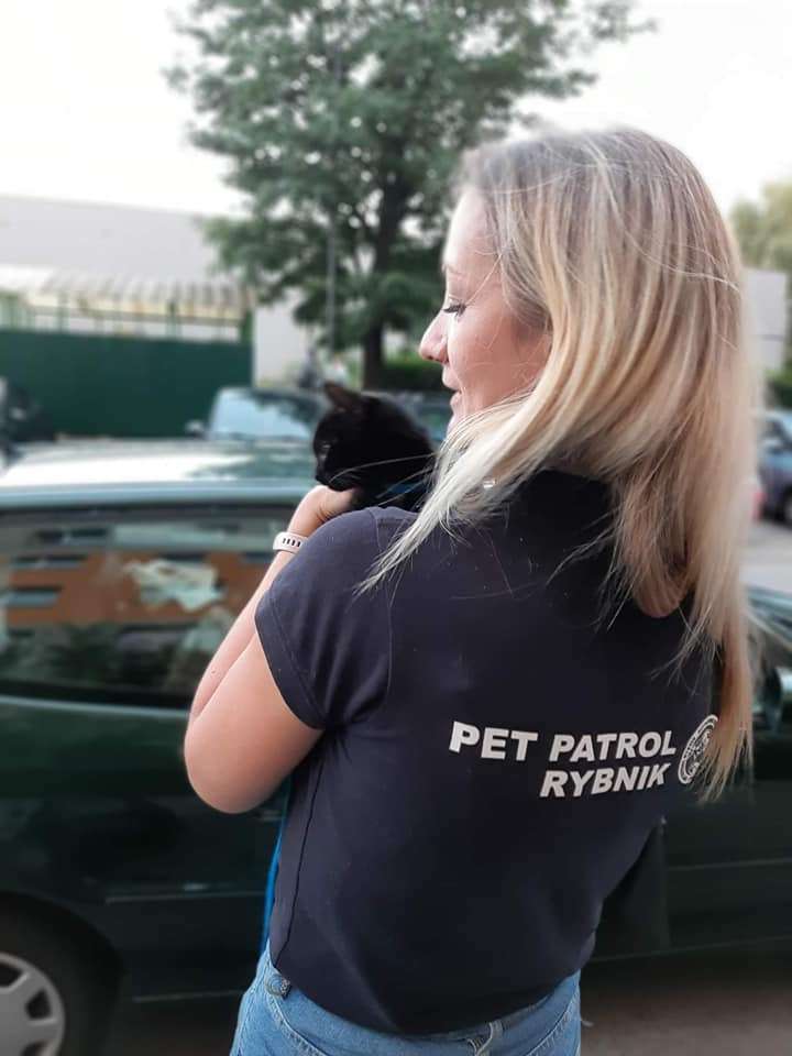 Pet Patrol Rybnik Odebrany właścicielowi kotek wtulił się w ramiona wolontariuszki